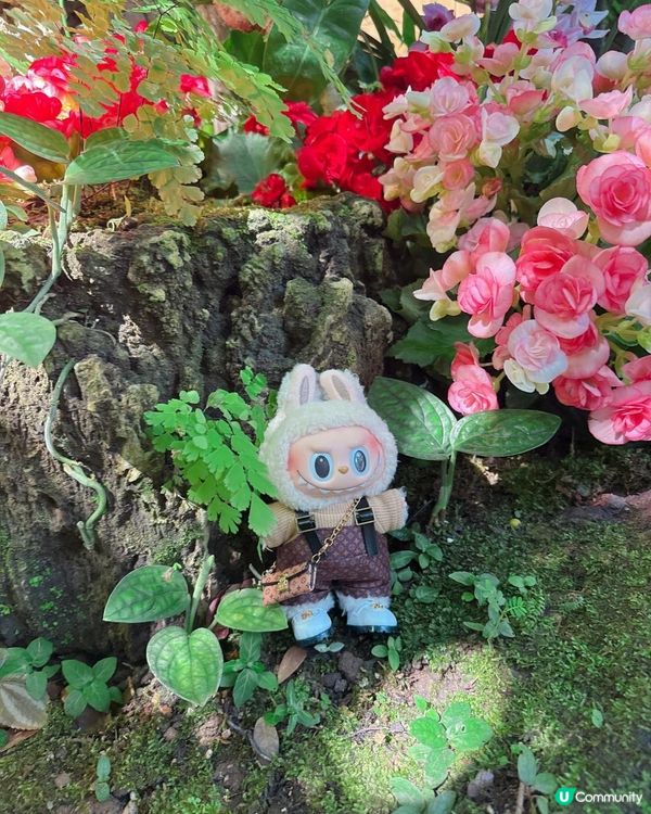 人工流水瀑布吃泰北菜 