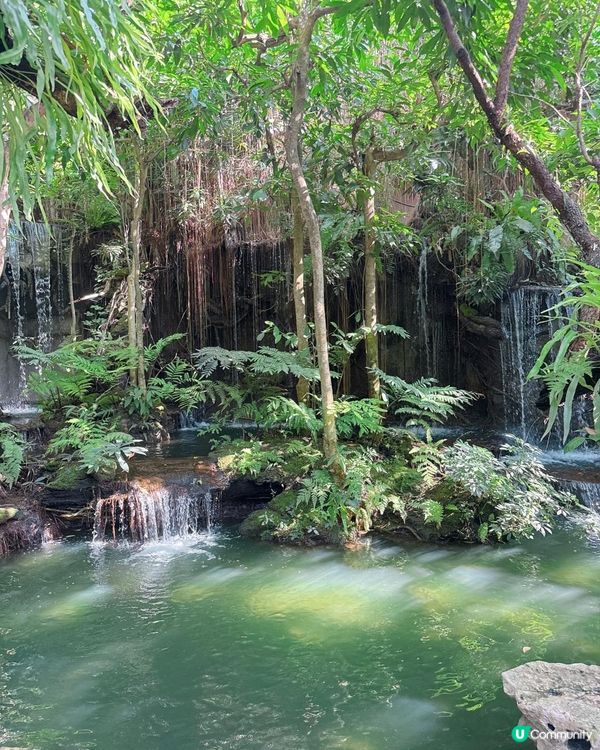 人工流水瀑布吃泰北菜 