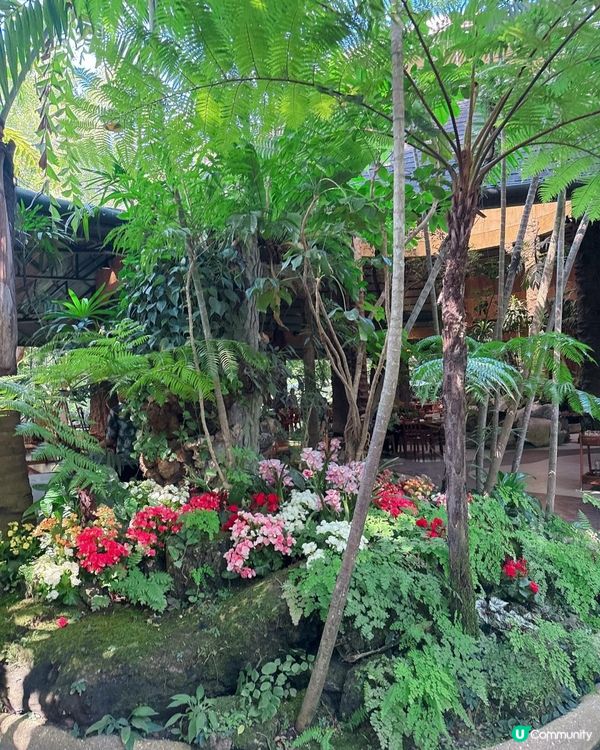 人工流水瀑布吃泰北菜 