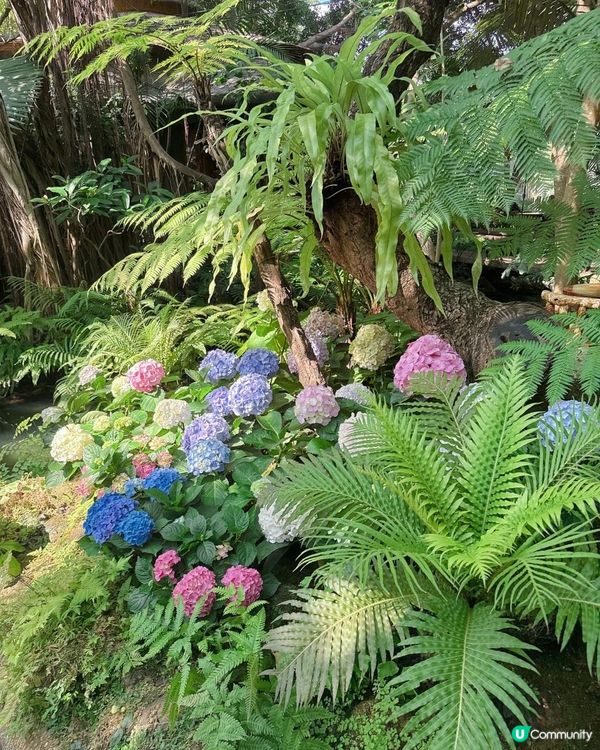 人工流水瀑布吃泰北菜 