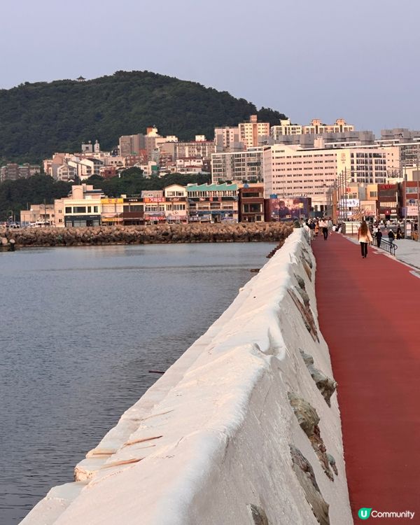 🇰🇷濟州島必去！超夢幻日落海邊打卡點🌅