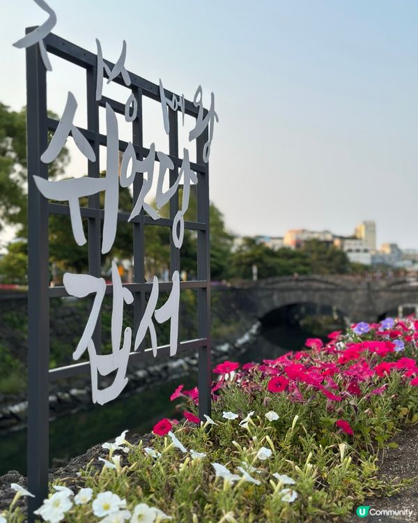 🇰🇷濟州島必去！超夢幻日落海邊打卡點🌅