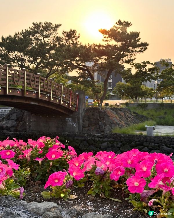 🇰🇷濟州島必去！超夢幻日落海邊打卡點🌅