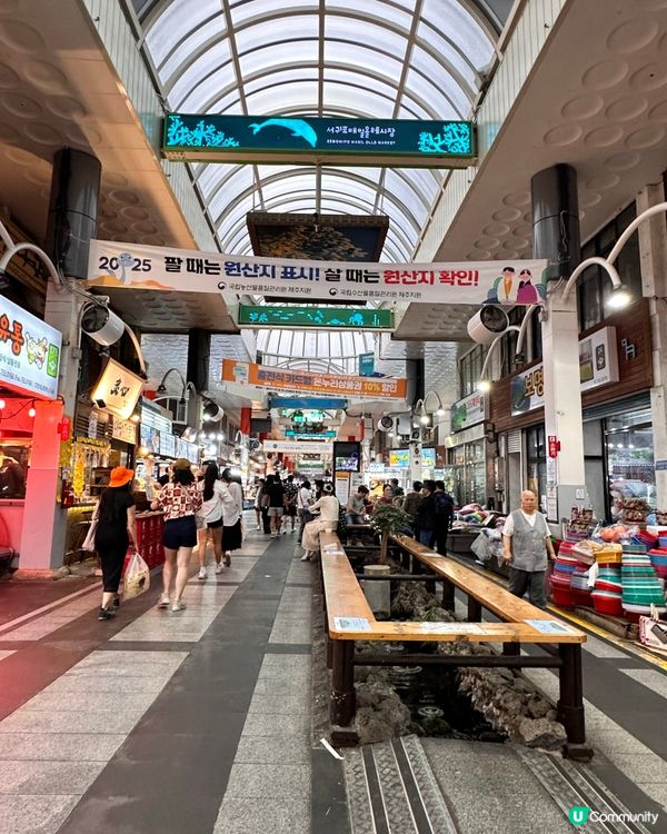 🇰🇷 濟州掃街天堂！西歸浦市場人氣小食懶人包🍊🥓