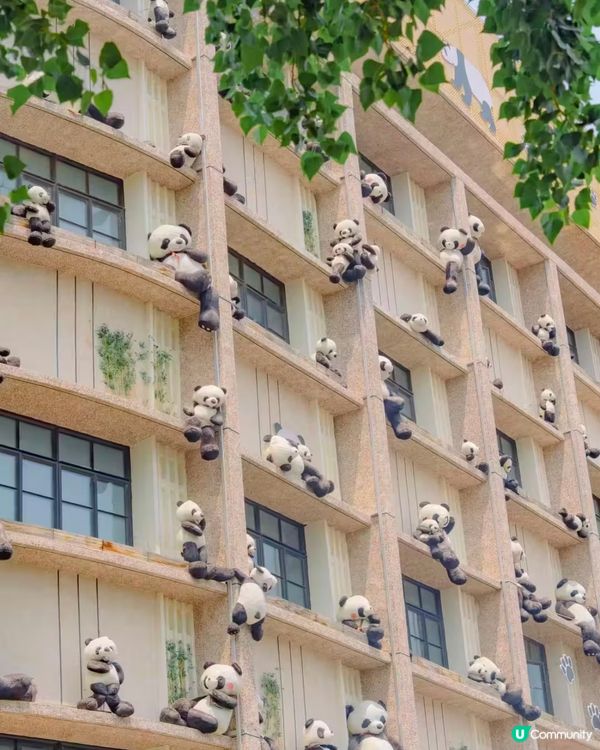 煙台打卡之旅📸！所城裡朝陽街攻略🔥！