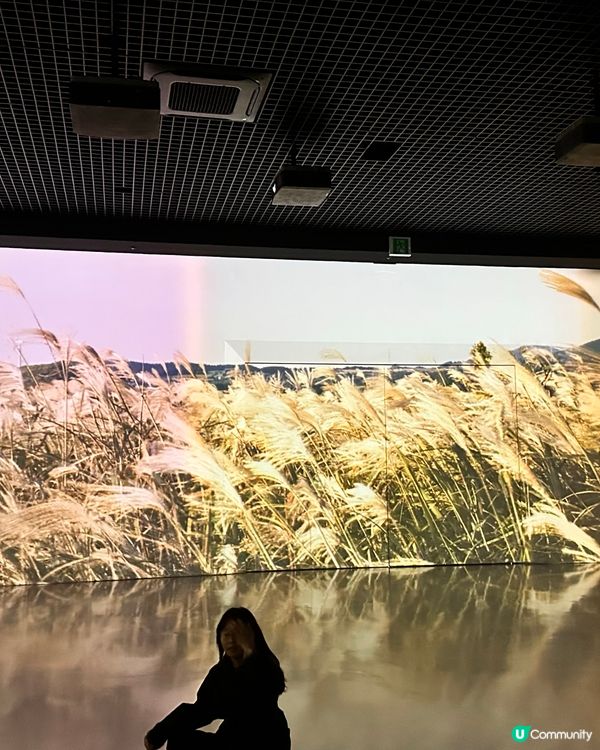 🇰🇷濟州島國立濟州博物館必睇沉浸式影像🎥文化氣息爆燈‼️