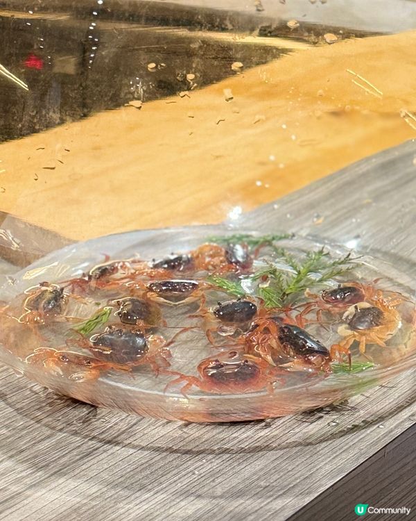 廚師發辦超豐富！🍣🍢🍲 必食推介！😋