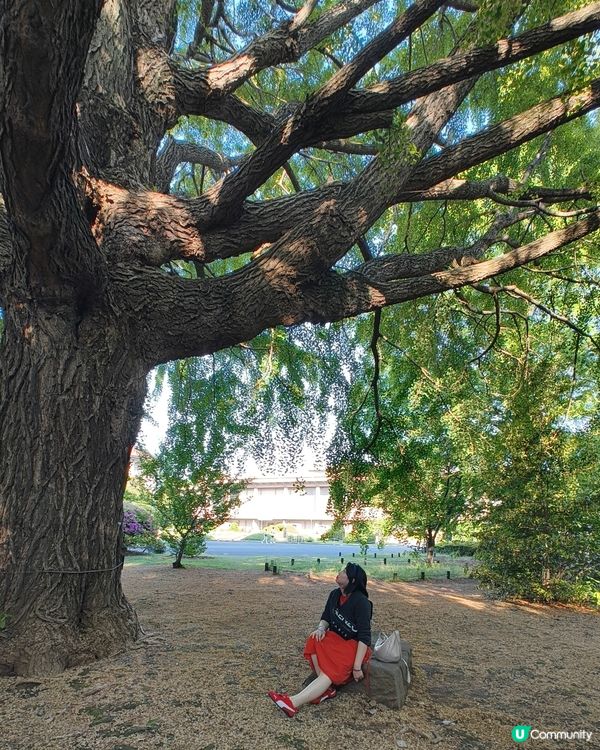 第一次我的一個人日本之行~🇯🇵👺🗾🗼🧳