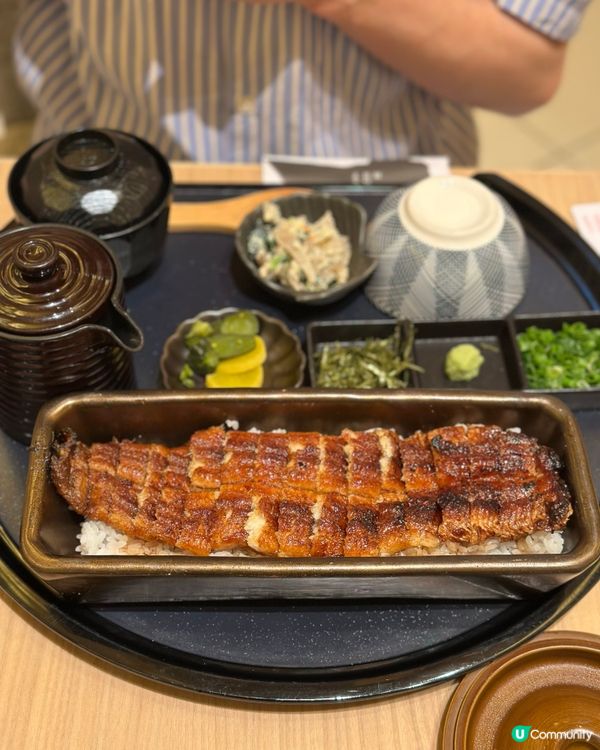 喺香港都可以食到日本正宗鰻魚飯