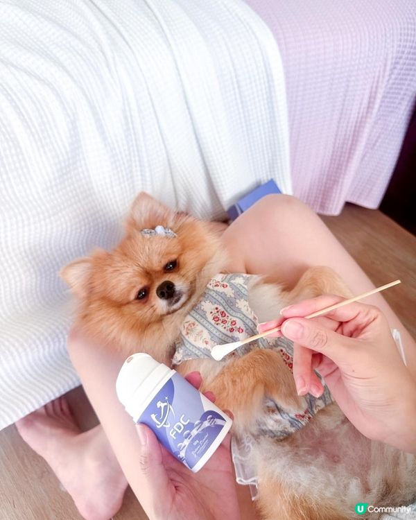 🐶 狗狗口氣很重怎麼辦？