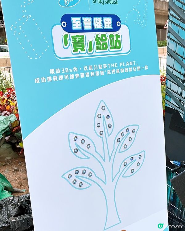 🎏連續五日‼️街頭大派鈣思寶🤩