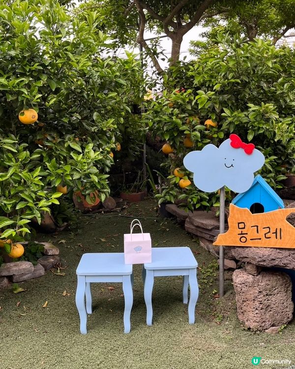 🇰🇷濟州島人氣手信推薦｜Mongle雲朵曲奇超得意又好食☁️