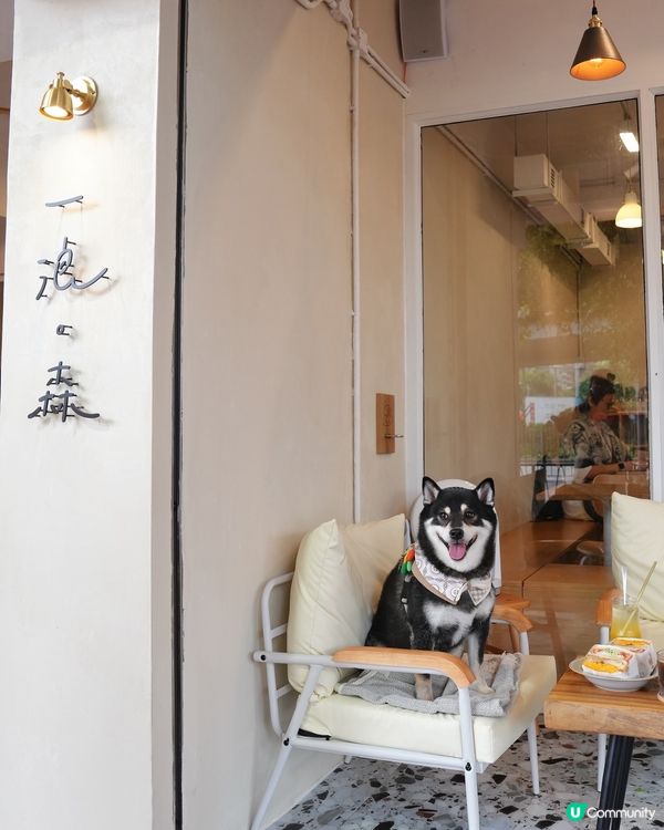 假日覓食～九龍城新開Cafe🤩