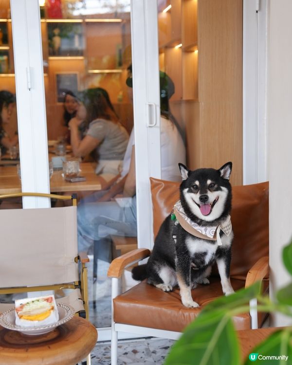 假日覓食～九龍城新開Cafe🤩