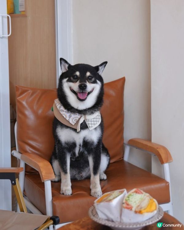 假日覓食～九龍城新開Cafe🤩