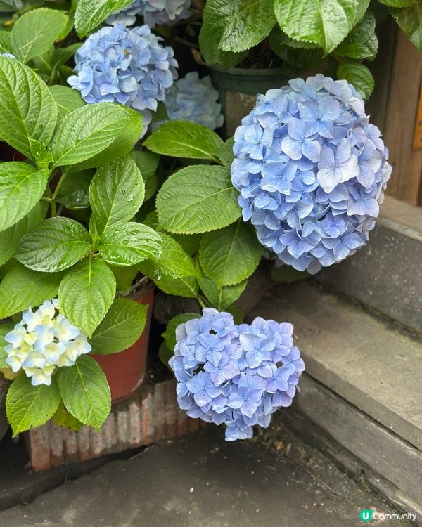 #深圳打卡