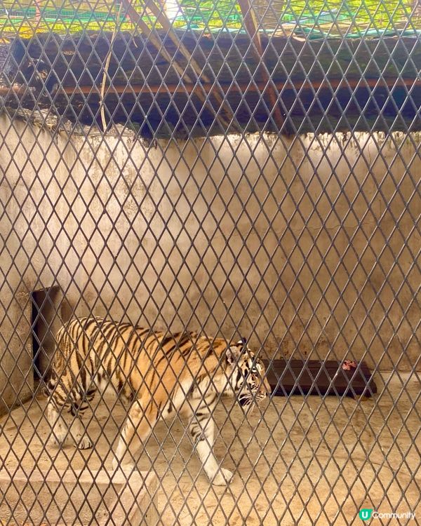 潮州🚄三日遊💯古城+西湖超滿足🤩