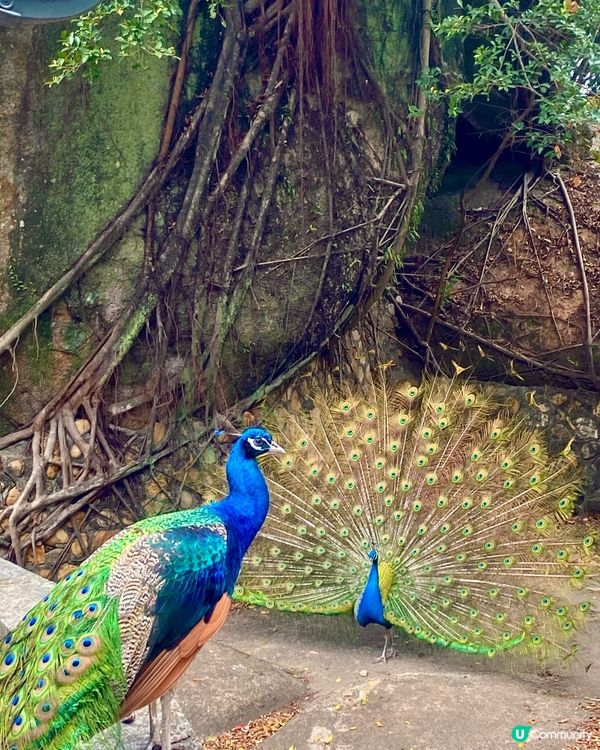 潮州🚄三日遊💯古城+西湖超滿足🤩