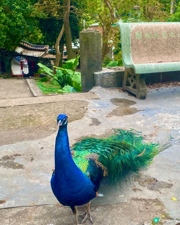 潮州🚄三日遊💯古城+西湖超滿足🤩