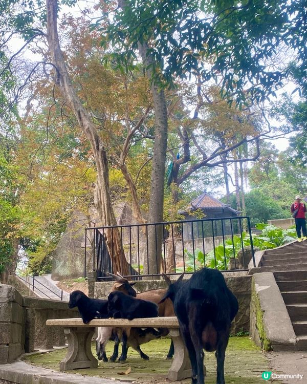 潮州🚄三日遊💯古城+西湖超滿足🤩