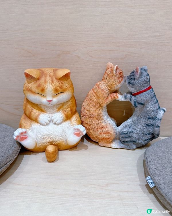 天之五段定食❤️