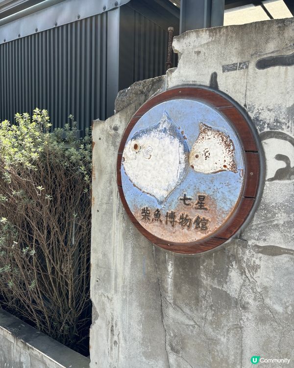 花蓮黑金藍白遊🌊！七星潭曼波海灘📸！