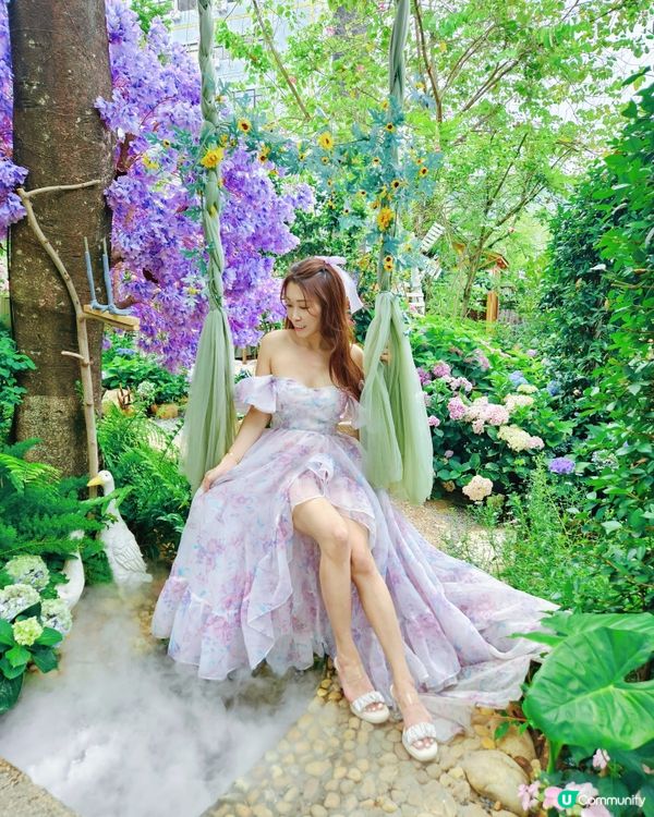 深圳豆伴花園💜！紫色花海打卡📸！