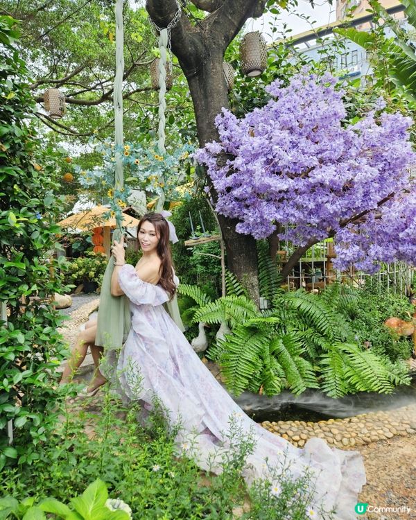 深圳豆伴花園💜！紫色花海打卡📸！