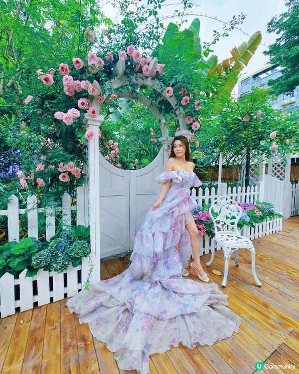 深圳豆伴花園💜！紫色花海打卡📸！