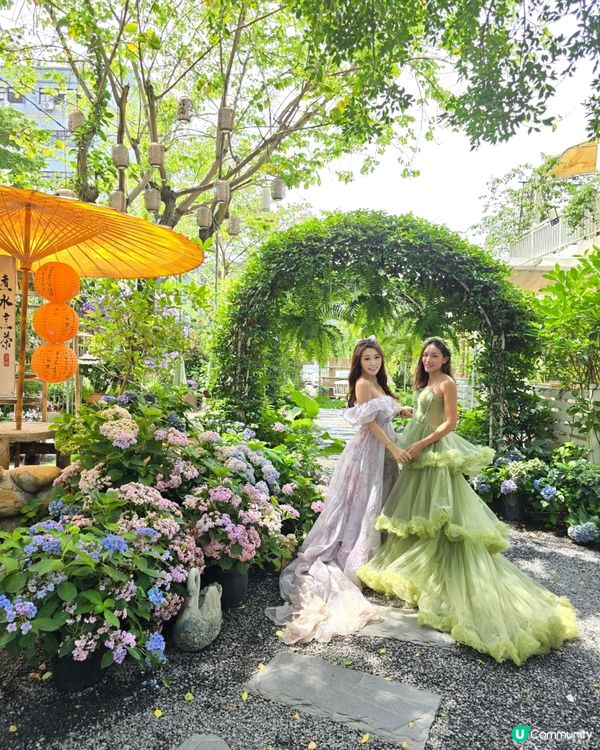 深圳豆伴花園💜！紫色花海打卡📸！