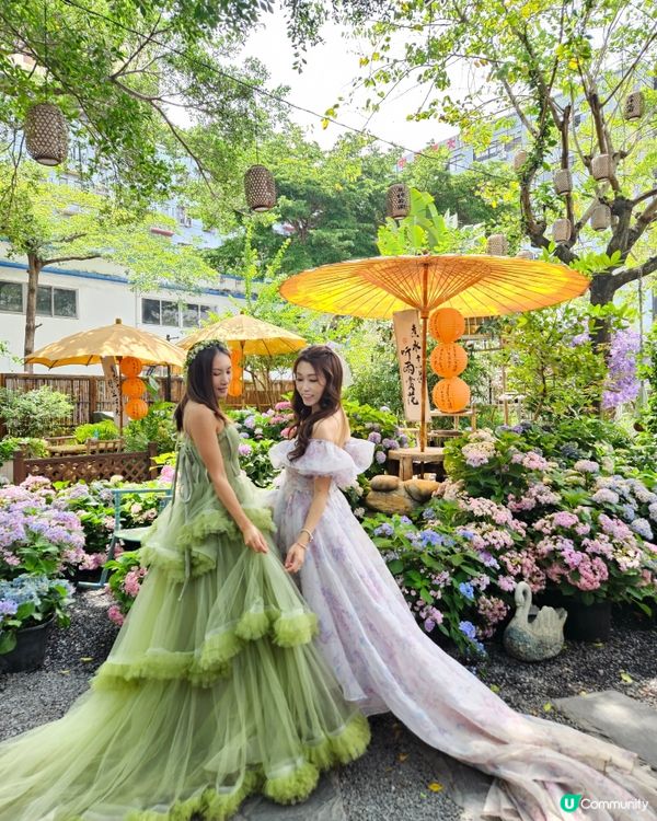 深圳豆伴花園💜！紫色花海打卡📸！