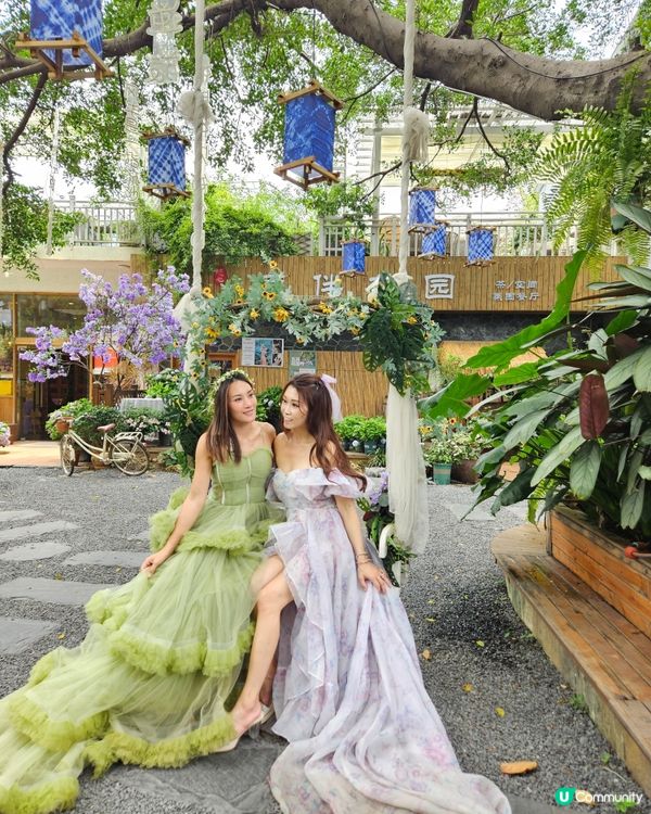 深圳豆伴花園💜！紫色花海打卡📸！