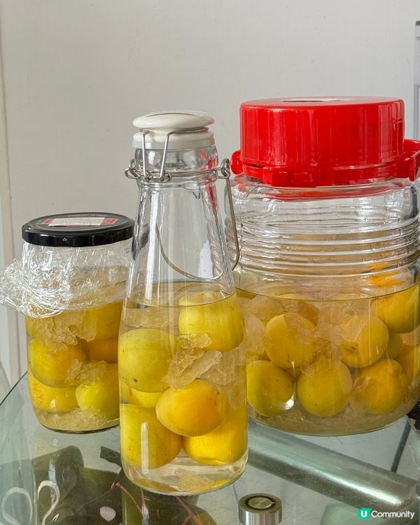 釀梅酒好時候 - 日本南高梅