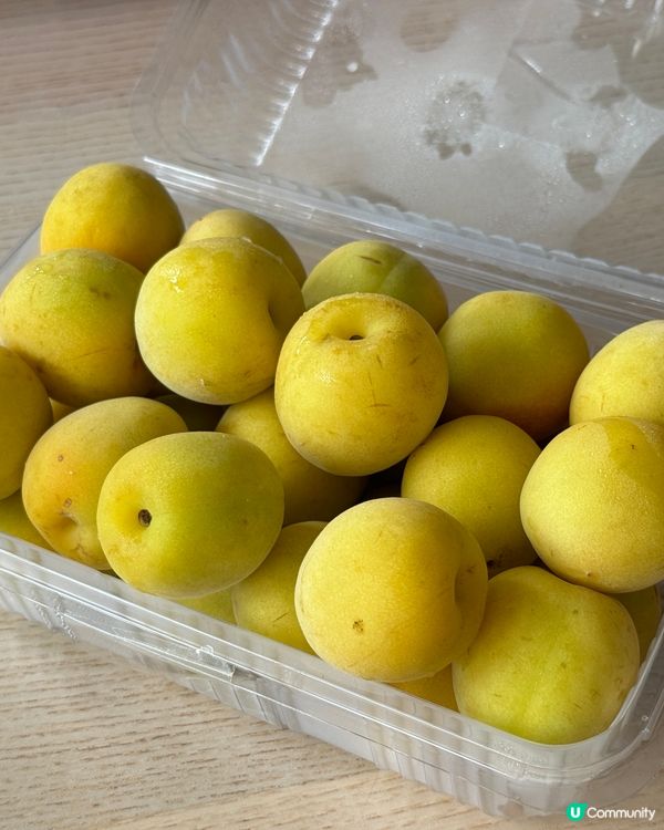 釀梅酒好時候 - 日本南高梅