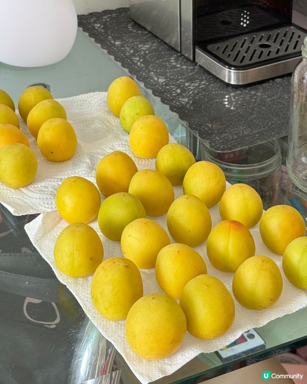 釀梅酒好時候 - 日本南高梅