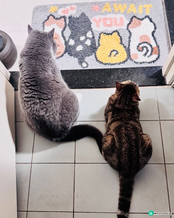 Hi 👋🏻 咩玩法？對號入座嗎😹😹😹