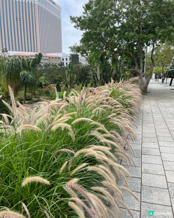 大潭山步行徑之旅！