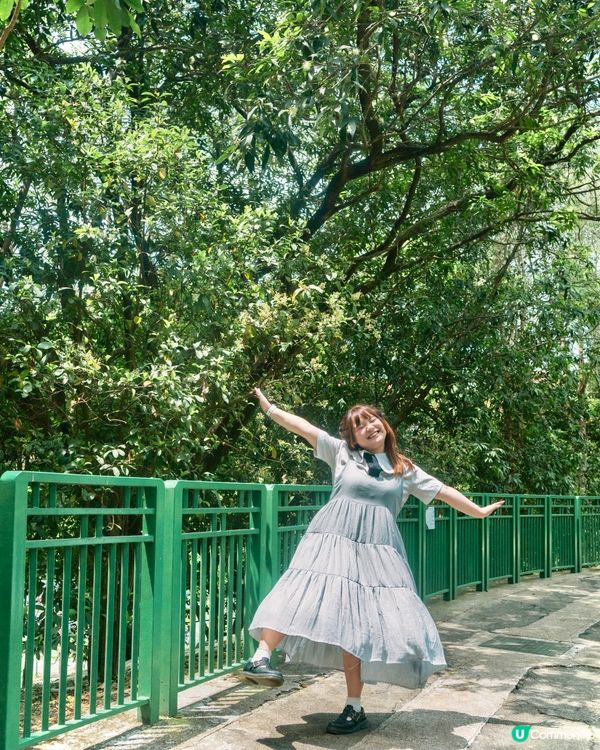 沙田公園🌿！市中心綠洲等你嚟chill🥳！