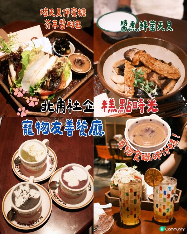 🇭🇰北角社企｜超有特色寵物友善糕點店🐾