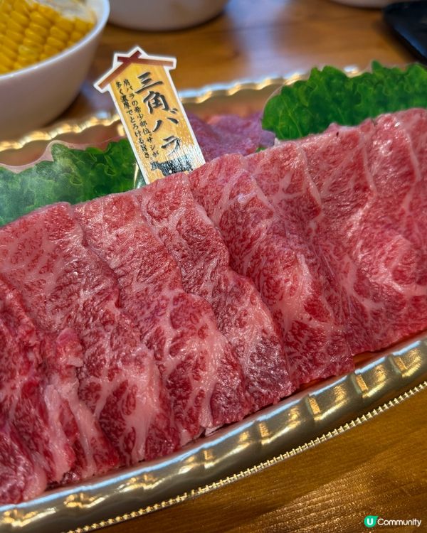 富士山全景蒙古包Glamping 之旅！🗻人均$5xx！😱😱