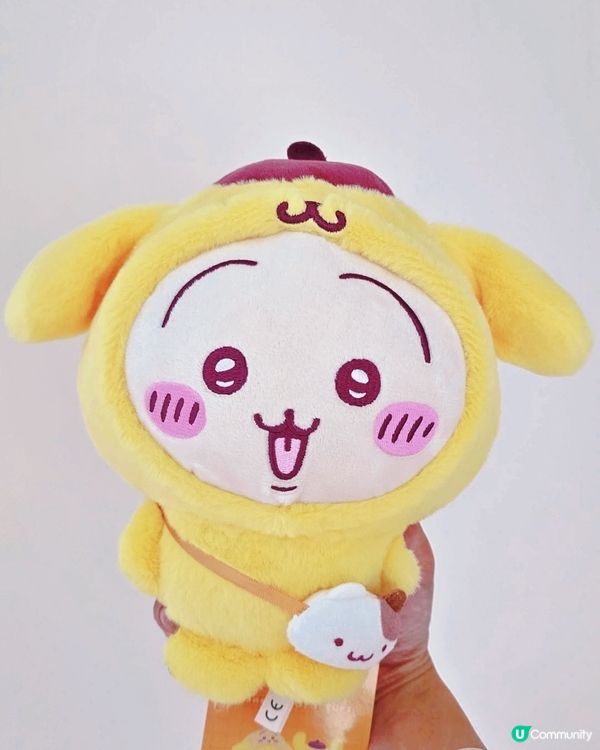 兔哥變身布甸狗！😍 超可愛聯乘分享！ 🐰🍮 