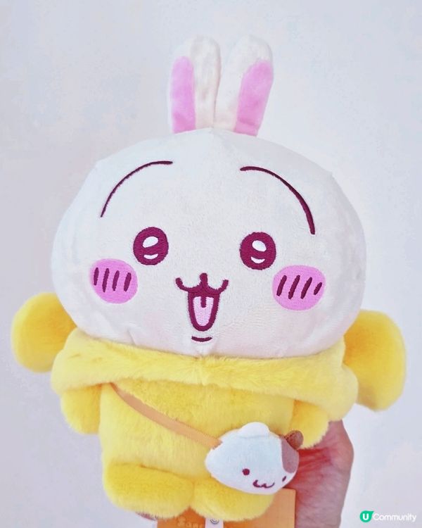 兔哥變身布甸狗！😍 超可愛聯乘分享！ 🐰🍮 