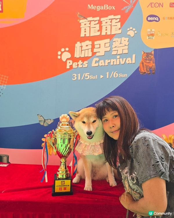 寵寵梳乎祭 