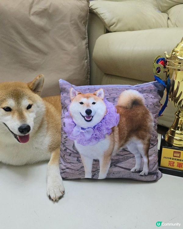 寵寵梳乎祭 