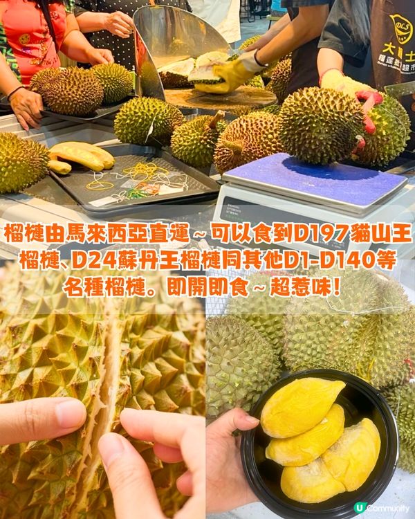 深圳榴槤放題3大推介🤤任食貓山王 / 蘇丹王 / 金枕頭榴槤！馬來西亞直運 / 即開即食~附地址交通