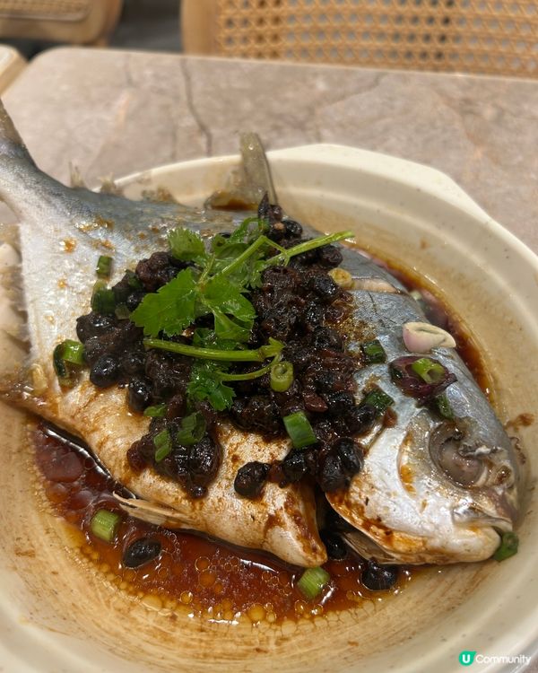 葵芳<你好!茶飯>😋台味十足！蒸魚必食！🤤