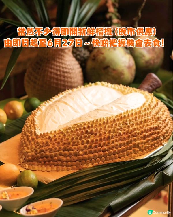 深圳榴槤放題3大推介🤤任食貓山王 / 蘇丹王 / 金枕頭榴槤！馬來西亞直運 / 即開即食~附地址交通