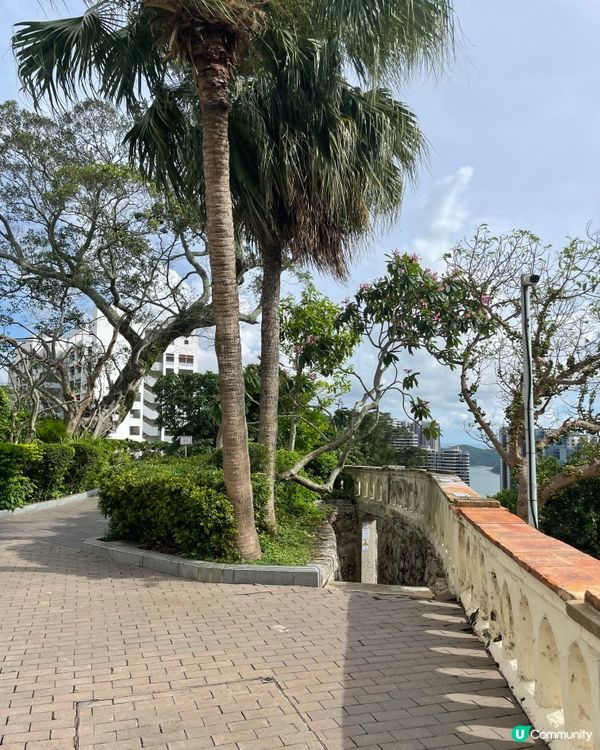 可能係香港歷史最悠久的（鳥居）⛩️👀