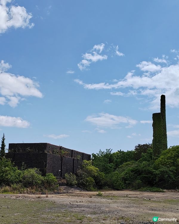 香川縣上山下海之旅（二）🌊驚險犬島行