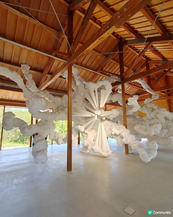 香川縣上山下海之旅（二）🌊驚險犬島行